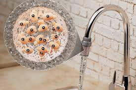 Investigadores del MIT utilizan levadura de cerveza para filtrar el agua