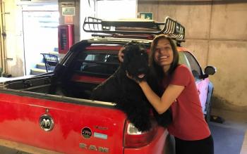 Tras varias semanas, perrito “Rocky” regresa con su familia