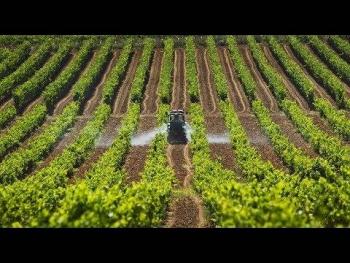 Debate sobre el art&iacute;culo 61, avanza reforma agraria