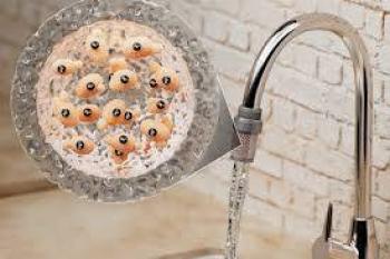 Investigadores del MIT utilizan levadura de cerveza para filtrar el agua