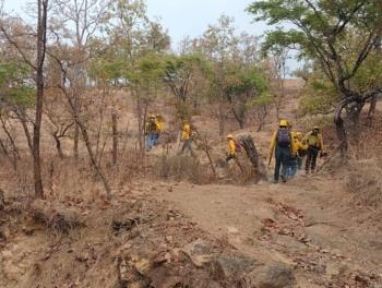 Probosque refuerza labores de combate del incendio forestal de El Peñón, en Temascaltepec