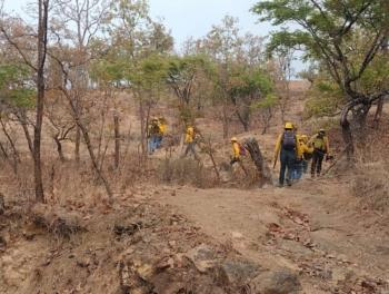 Probosque refuerza labores de combate del incendio forestal de El Pe&ntilde;&oacute;n, en Temascaltepec