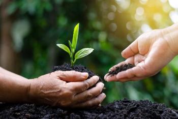 Proteger la salud de las plantas, garantiza seguridad alimentaria y preservaci&oacute;n de ecosistemas