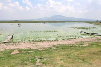 Universitarios, sociedad civil y Secretaría del Agua se unen para recuperar la Laguna de Zumpango