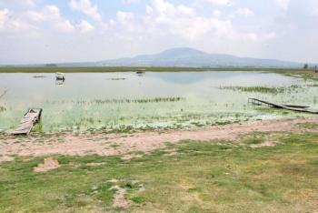 Universitarios, sociedad civil y Secretar&iacute;a del Agua se unen para recuperar la Laguna de Zumpango