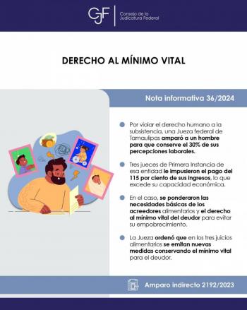 Jueza federal ampara a deudor alimentario para garantizarle ingreso m&iacute;nimo vital