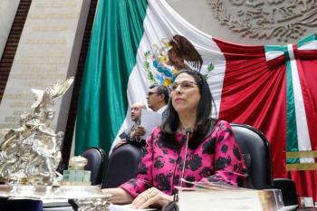 M&eacute;xico necesita una real transici&oacute;n hacia las energ&iacute;as limpias y reducir sus emisiones al 50% en 2030: Marcela Guerra Castillo