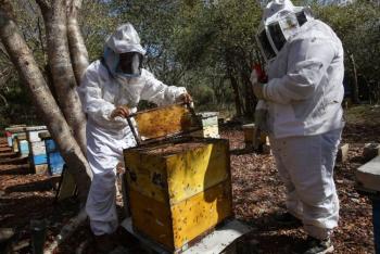 Edomex, produce, 950 toneladas, miel, a&ntilde;o, Secretar&iacute;a del Campo