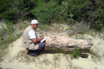 Laboratorio de Paleobiolog&iacute;a de la BUAP: estudia el origen, la evoluci&oacute;n y extinci&oacute;n de la flora y fauna de M&eacute;xico