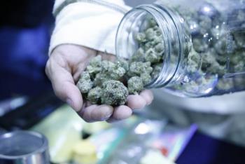 Apoyan candidatos presidenciales a marihuana, tanto en M&eacute;xico como en Estados Unidos