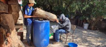 Estado de M&eacute;xico recupera la meliponicultura en municipios del sur de la entidad