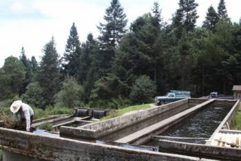 Zona Esmeralda en Jilotzingo un impulso para la conservaci&oacute;n ambiental en Edomex