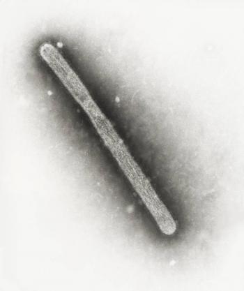 EUA reporta segundo caso de gripe aviaria em humanos
