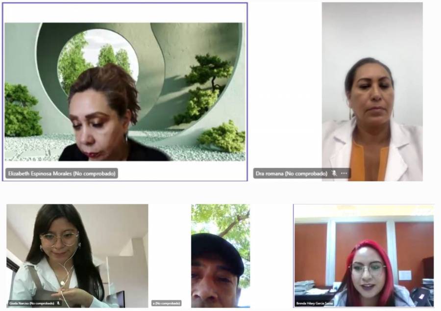 Secretaría de Salud y colectivo de madres y padres de niños con cárcer llevan 144 reuniones virtuales; buscan que éstas continúen con IMSS- Bienestar