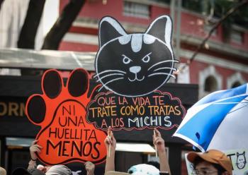 Avanza la Protección Animal en la Ciudad de México