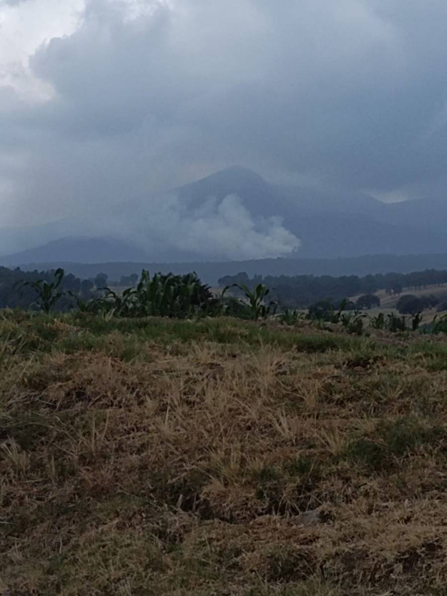 Brigadas combaten incendio forestal en el Nevado de Toluca