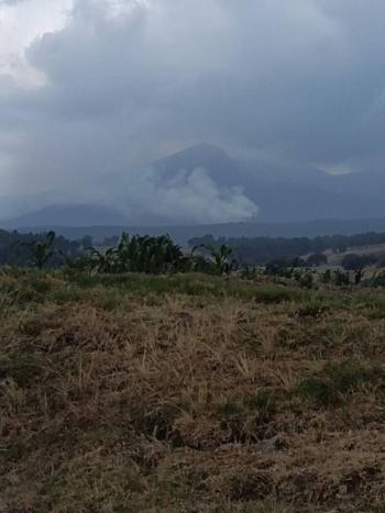 Brigadas combaten incendio forestal en el Nevado de Toluca