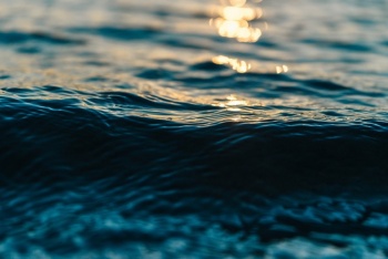 Las aguas europeas contaminadas por una sustancia qu&iacute;mica persistente, denuncian asociaciones