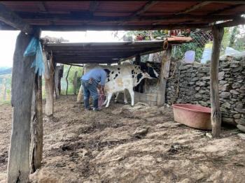 Por ola de calor, Secretar&iacute;a del Campo emite recomendaciones a los productores pecuarios