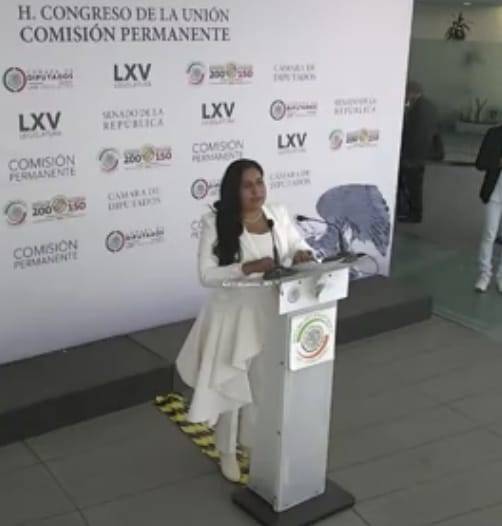 Presidenta del Senado acusa a Norma Pi&ntilde;a de amenazar a legisladores ante falta de nombramientos de comisionados del INAI