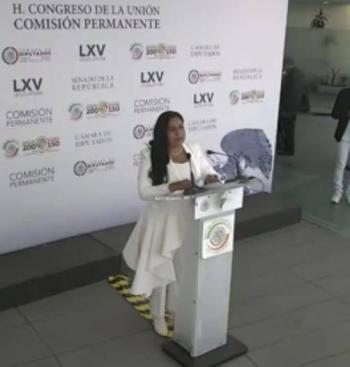 Presidenta del Senado acusa a Norma Pi&ntilde;a de amenazar a legisladores ante falta de nombramientos de comisionados del INAI