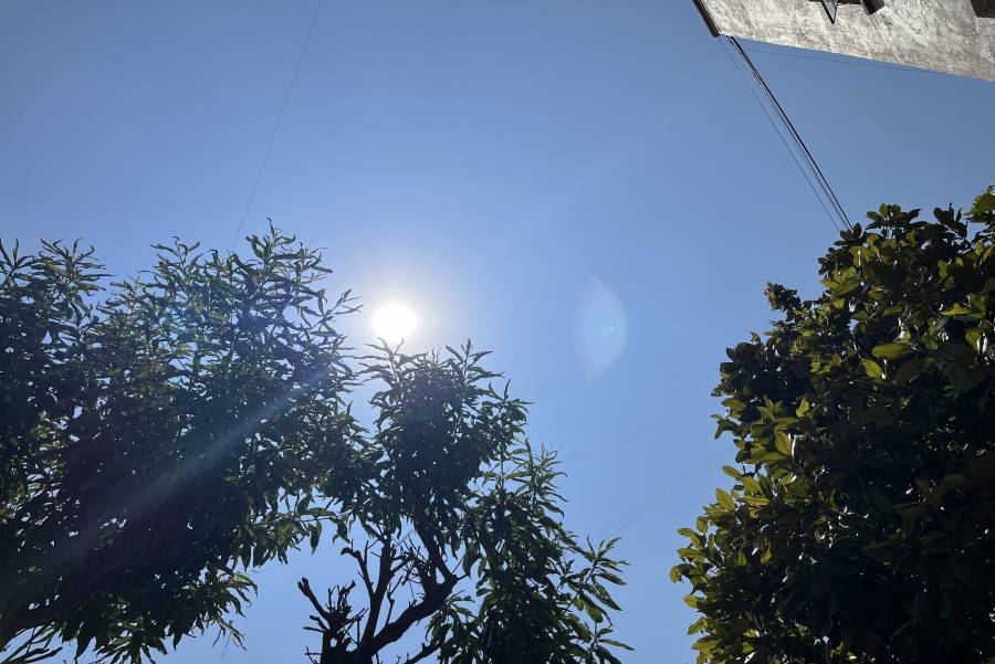 Consecuencias mortales: 48 fallecidos y 956 afectados por ola de calor en M&eacute;xico