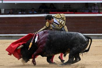 Colombia más cerca de prohibir las corridas de toros