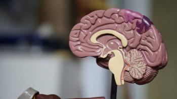 C&oacute;mo aprovechar los microbios intestinales para mejorar la salud del cerebro