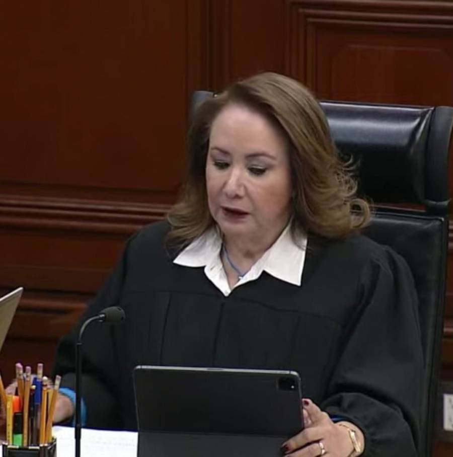 Imperativo consultar a las personas con discapacidad acerca de sus necesidades: Yasmín Esquivel