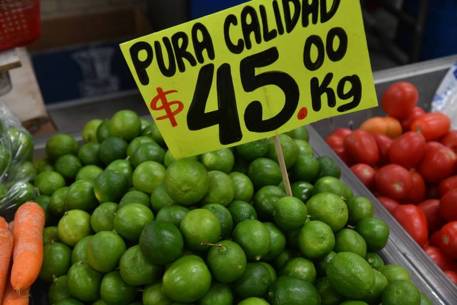 Estabilidad y variaciones en la inflación: Análisis OCDE abril 2024