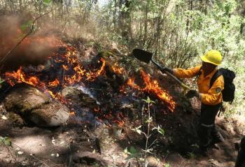Diputados exigen al Ejecutivo Federal atender y prevenir incendios forestales