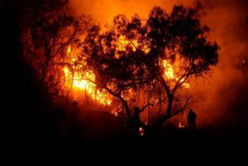 M&aacute;s de 100 hect&aacute;reas bajo fuego en el cerro de La Cruz en Uruapan