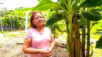 Gobierno entrega 494 hectáreas de tierra fértil a 44 familias campesinas de Aguachica, Cesar