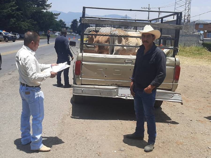 Destina GEM m&aacute;s de 13 millones de pesos a la inocuidad alimentaria