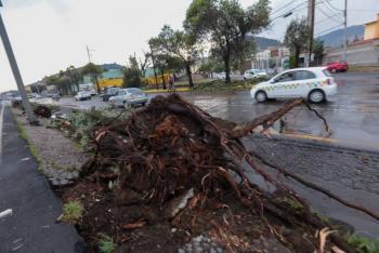 Activan alerta amarilla en la CDMX por lluvias fuertes, granizo y rachas de viento