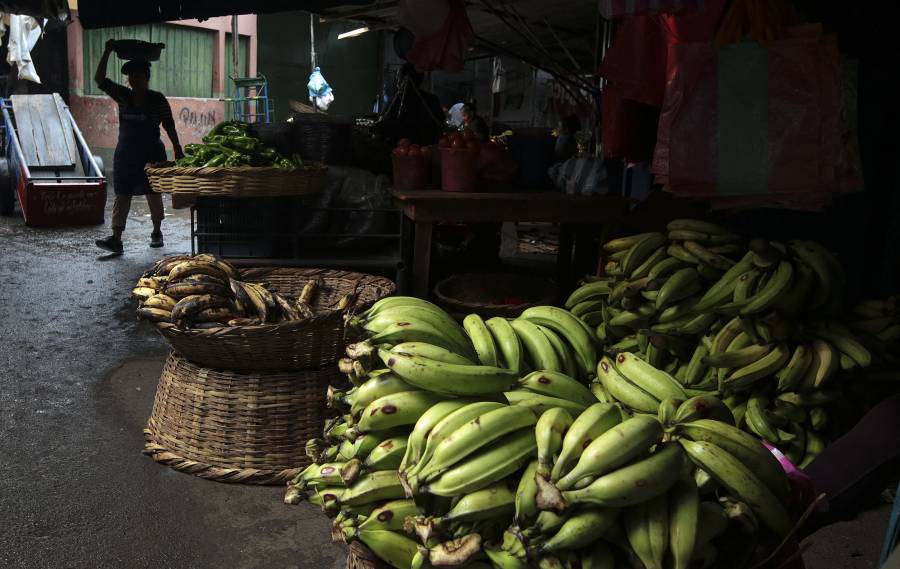 Justicia de EEUU halla responsable a bananera Chiquita de financiar a paramilitares en Colombia