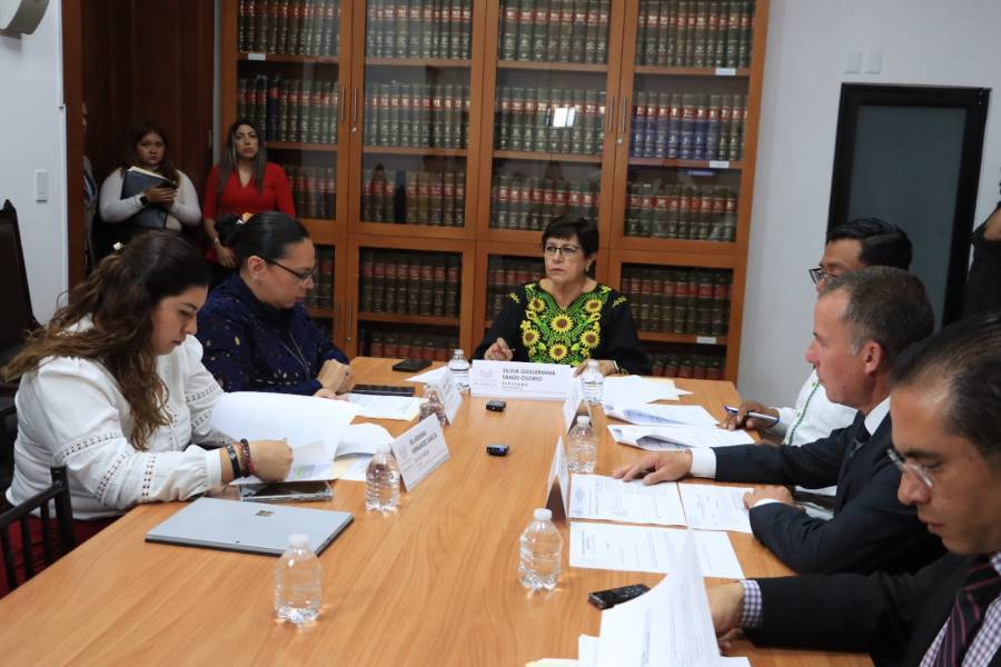 Avala Congreso, establecer lenguaje incluyente en Ley de Entidades Paraestatales