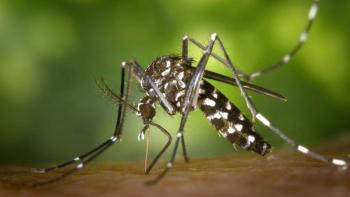Mosquito Tigre y el Virus del Dengue se extienden por 18 pa&iacute;ses