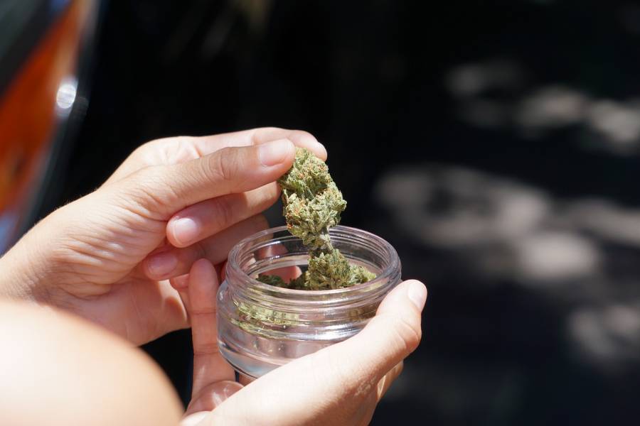 Países Bajos amplía a otras ocho ciudades su prueba de consumo legal de cannabis