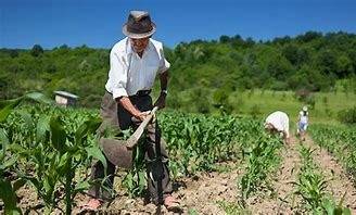 Finagro ofrece microcr&eacute;ditos con tasas subsidiadas para peque&ntilde;os productores