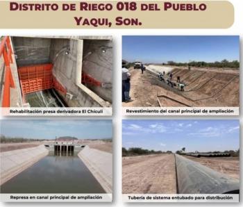 Yaquis ya usaron su Distrito de Riego en siembra de trigo; por concluir el de Nayarit