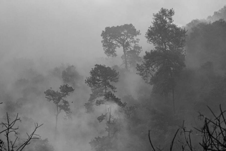 Incendios forestales en el este de Canadá obligan a evacuaciones masivas, incluyendo prisión de máxima seguridad