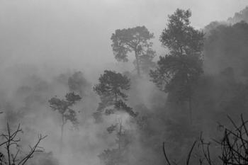 Incendios forestales en el este de Canad&aacute; obligan a evacuaciones masivas, incluyendo prisi&oacute;n de m&aacute;xima seguridad