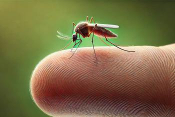 Muertes por dengue en M&eacute;xico se quintuplican en medio de la temporada de huracanes