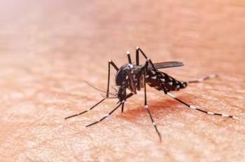 Primer fallecimiento por Dengue en Puebla en 2024; se reportan 444 casos acumulados