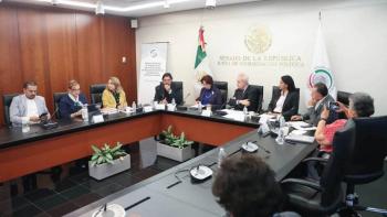 Senado de M&eacute;xico expresa solidaridad con el Gobierno de Bolivia ante intento de desestabilizaci&oacute;n