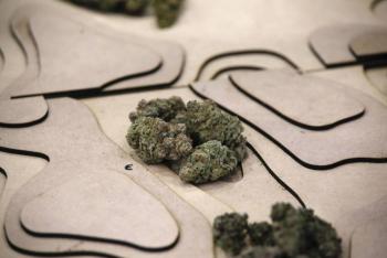 La CBP confisc&oacute; a mexicano m&aacute;s de mil kilos de marihuana en el World Trade Bridge