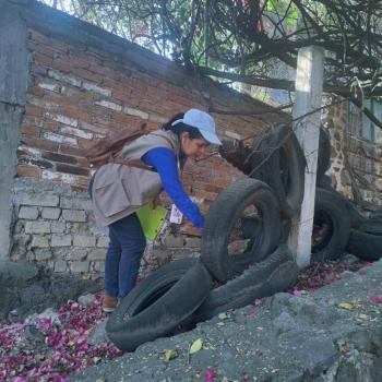 Fortalece Secretar&iacute;a de Salud acciones para prevenir el dengue en el Estado de M&eacute;xico
