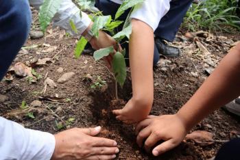 Gobierno de la Ciudad de M&eacute;xico supera meta de reforestaci&oacute;n al plantar m&aacute;s de 45 millones de &aacute;rboles