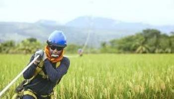Colombia y Brasil mejoran conectividad en el Amazonas con fibra &oacute;ptica
